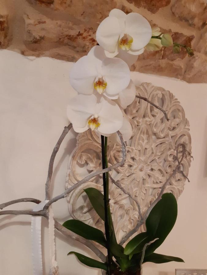 Donna Lucrezia Dimora A Corte B&B Conversano Exterior foto