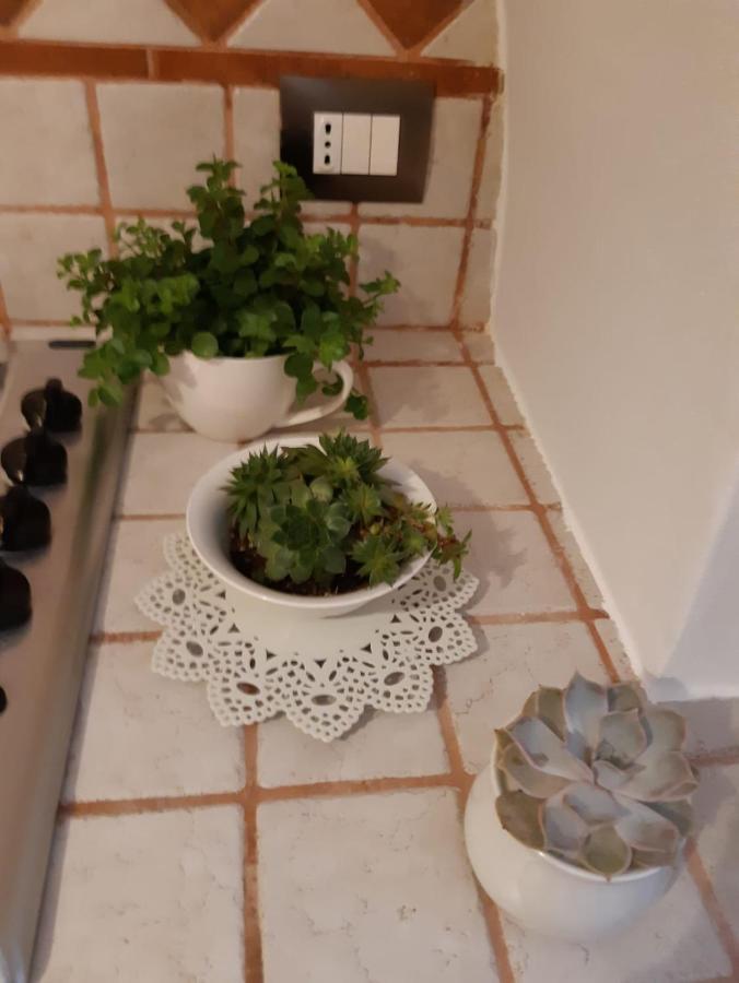 Donna Lucrezia Dimora A Corte B&B Conversano Exterior foto